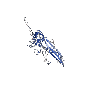 14484_7z45_S_v1-1
Central part (C10) of bacteriophage SU10 capsid