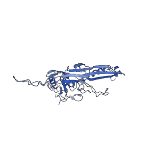 14484_7z45_T_v1-1
Central part (C10) of bacteriophage SU10 capsid