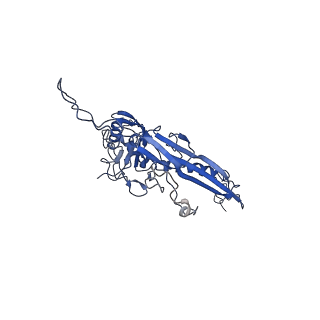 14484_7z45_U_v1-1
Central part (C10) of bacteriophage SU10 capsid