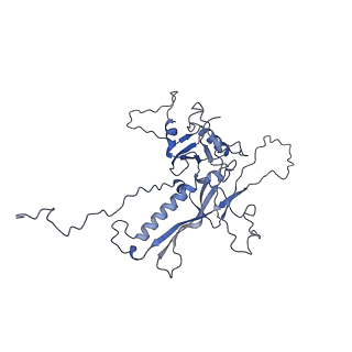 14485_7z46_C_v1-1
Top part (C5) of bacteriophage SU10 capsid