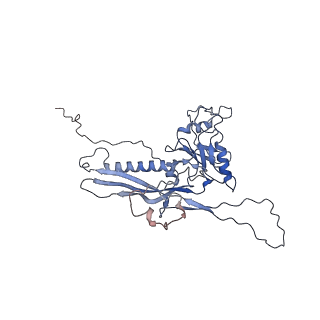 14485_7z46_D_v1-1
Top part (C5) of bacteriophage SU10 capsid