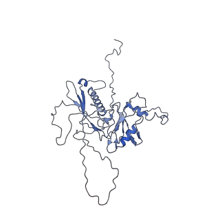 14485_7z46_E_v1-1
Top part (C5) of bacteriophage SU10 capsid