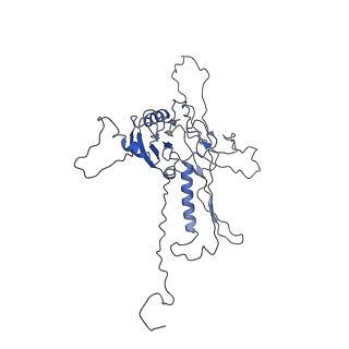 14485_7z46_G_v1-1
Top part (C5) of bacteriophage SU10 capsid