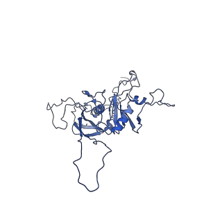 14485_7z46_H_v1-1
Top part (C5) of bacteriophage SU10 capsid