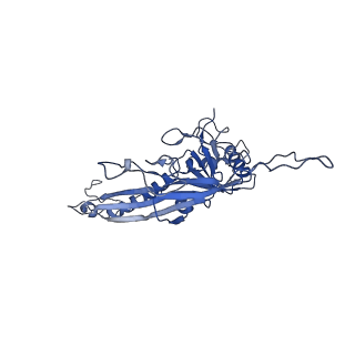 14485_7z46_J_v1-1
Top part (C5) of bacteriophage SU10 capsid