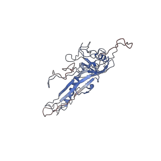 14485_7z46_K_v1-1
Top part (C5) of bacteriophage SU10 capsid