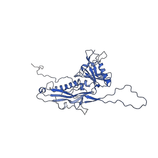 14485_7z46_L_v1-1
Top part (C5) of bacteriophage SU10 capsid
