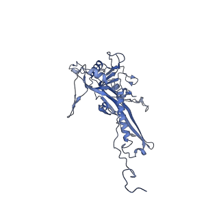 14485_7z46_M_v1-1
Top part (C5) of bacteriophage SU10 capsid