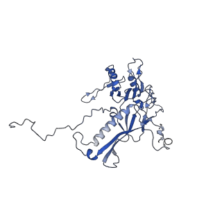 14485_7z46_Q_v1-1
Top part (C5) of bacteriophage SU10 capsid