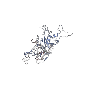 14485_7z46_S_v1-1
Top part (C5) of bacteriophage SU10 capsid