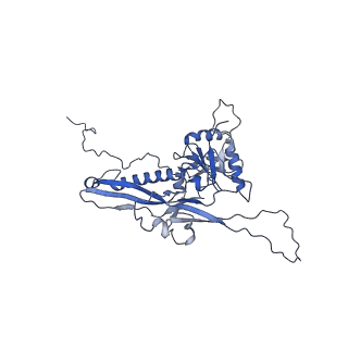 14485_7z46_U_v1-1
Top part (C5) of bacteriophage SU10 capsid