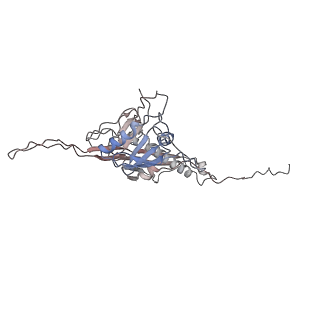 14485_7z46_V_v1-1
Top part (C5) of bacteriophage SU10 capsid