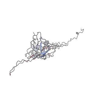 14485_7z46_W_v1-1
Top part (C5) of bacteriophage SU10 capsid