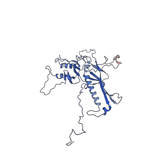 14485_7z46_X_v1-1
Top part (C5) of bacteriophage SU10 capsid