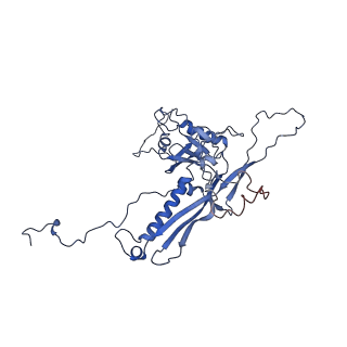 14485_7z46_b_v1-1
Top part (C5) of bacteriophage SU10 capsid