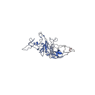 14485_7z46_c_v1-1
Top part (C5) of bacteriophage SU10 capsid