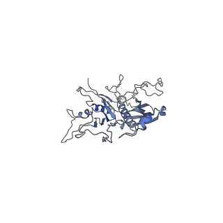 14485_7z46_d_v1-1
Top part (C5) of bacteriophage SU10 capsid