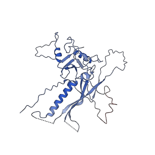 14487_7z48_C_v1-1
Bottom part (C5) of bacteriophage SU10 capsid
