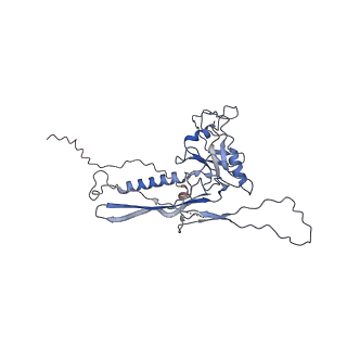 14487_7z48_D_v1-1
Bottom part (C5) of bacteriophage SU10 capsid