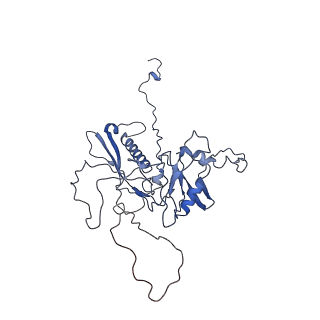 14487_7z48_E_v1-1
Bottom part (C5) of bacteriophage SU10 capsid