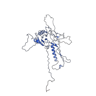 14487_7z48_G_v1-1
Bottom part (C5) of bacteriophage SU10 capsid