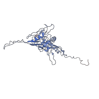 14487_7z48_I_v1-1
Bottom part (C5) of bacteriophage SU10 capsid