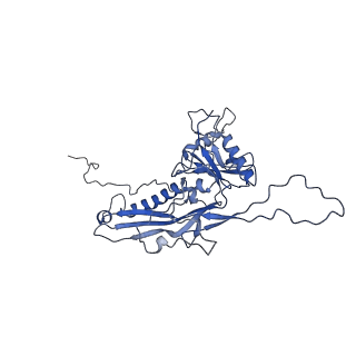 14487_7z48_L_v1-1
Bottom part (C5) of bacteriophage SU10 capsid