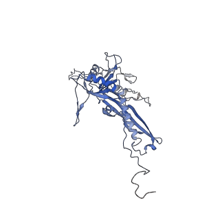 14487_7z48_M_v1-1
Bottom part (C5) of bacteriophage SU10 capsid