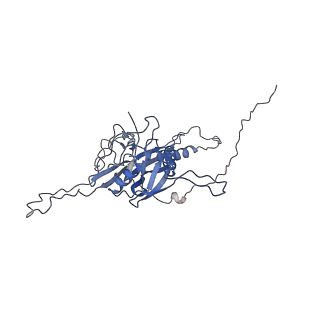 14487_7z48_P_v1-1
Bottom part (C5) of bacteriophage SU10 capsid