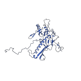 14487_7z48_Q_v1-1
Bottom part (C5) of bacteriophage SU10 capsid