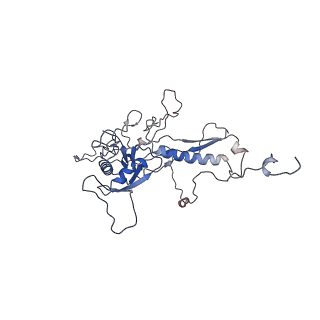 14487_7z48_T_v1-1
Bottom part (C5) of bacteriophage SU10 capsid