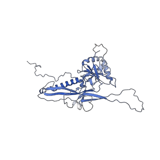 14487_7z48_U_v1-1
Bottom part (C5) of bacteriophage SU10 capsid