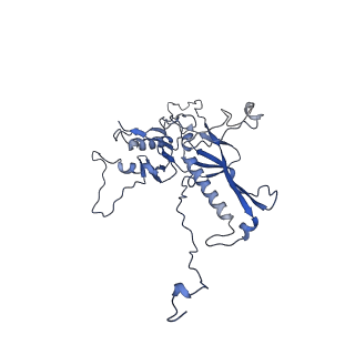 14487_7z48_X_v1-1
Bottom part (C5) of bacteriophage SU10 capsid