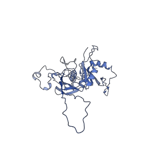 14487_7z48_Y_v1-1
Bottom part (C5) of bacteriophage SU10 capsid