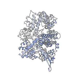 14494_7z4e_B_v1-2
SpCas9 bound to 8-nucleotide complementary DNA substrate