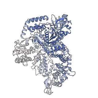 14497_7z4h_B_v1-2
SpCas9 bound to 14-nucleotide complementary DNA substrate