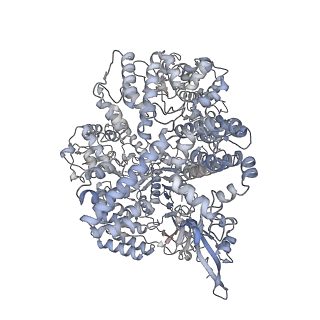 14500_7z4k_B_v1-2
SpCas9 bound to 10-nucleotide complementary DNA substrate