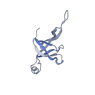 14509_7z4w_2_v1-1
gp6/gp15/gp16 connector complex of bacteriophage SPP1