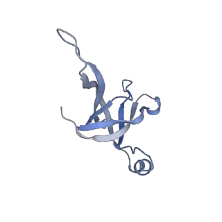 14509_7z4w_3_v1-1
gp6/gp15/gp16 connector complex of bacteriophage SPP1