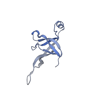 14509_7z4w_5_v1-1
gp6/gp15/gp16 connector complex of bacteriophage SPP1