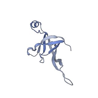 14509_7z4w_6_v1-1
gp6/gp15/gp16 connector complex of bacteriophage SPP1