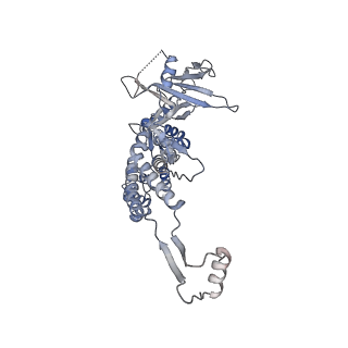 14509_7z4w_A_v1-1
gp6/gp15/gp16 connector complex of bacteriophage SPP1