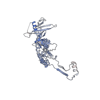14509_7z4w_B_v1-1
gp6/gp15/gp16 connector complex of bacteriophage SPP1