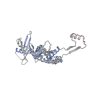 14509_7z4w_D_v1-1
gp6/gp15/gp16 connector complex of bacteriophage SPP1