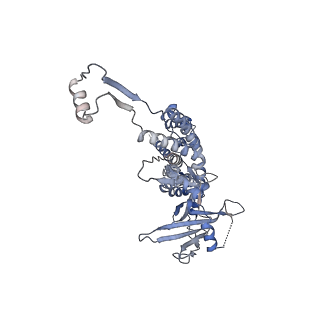 14509_7z4w_H_v1-1
gp6/gp15/gp16 connector complex of bacteriophage SPP1