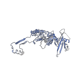 14509_7z4w_J_v1-1
gp6/gp15/gp16 connector complex of bacteriophage SPP1