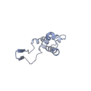 14509_7z4w_a_v1-1
gp6/gp15/gp16 connector complex of bacteriophage SPP1