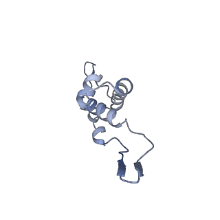 14509_7z4w_d_v1-1
gp6/gp15/gp16 connector complex of bacteriophage SPP1