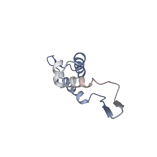 14509_7z4w_e_v1-1
gp6/gp15/gp16 connector complex of bacteriophage SPP1