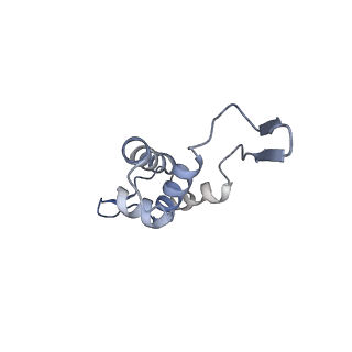 14509_7z4w_g_v1-1
gp6/gp15/gp16 connector complex of bacteriophage SPP1